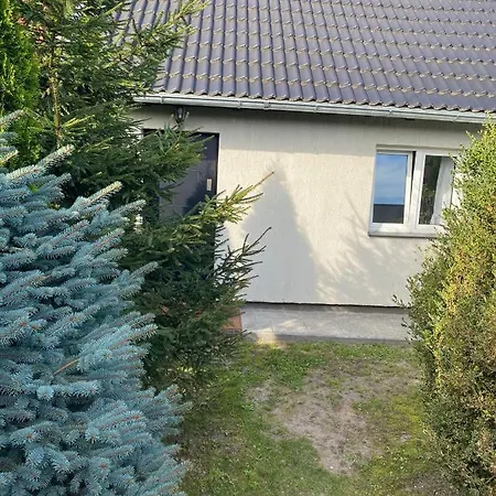 White Apartment Elblag Exterior photo
